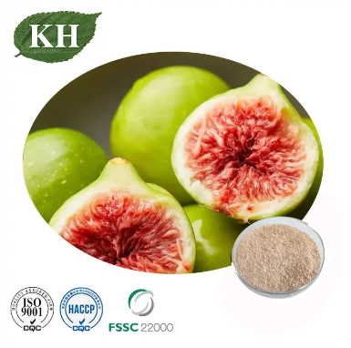 Fig Freeze Dried Powder.png