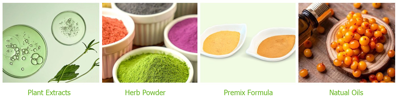 Main Products