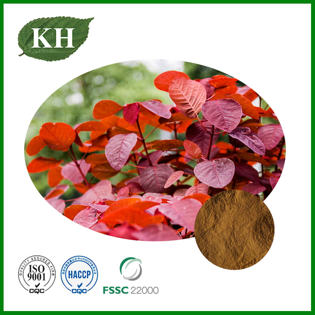 Cotinus Coggygria Extract