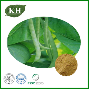 White Kidney Bean Extract