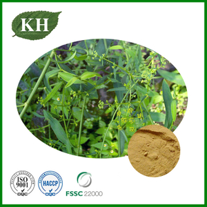 Bupleurum Extract