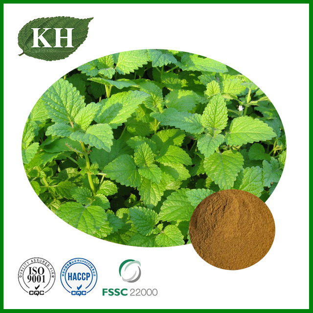 Melissa Officinalis Extract