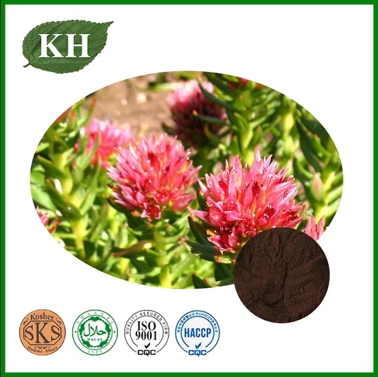 Rhodiola Rosea