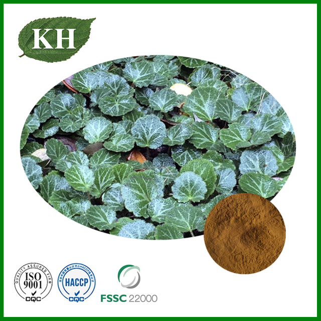 Saxifraga Stolonifera Extract