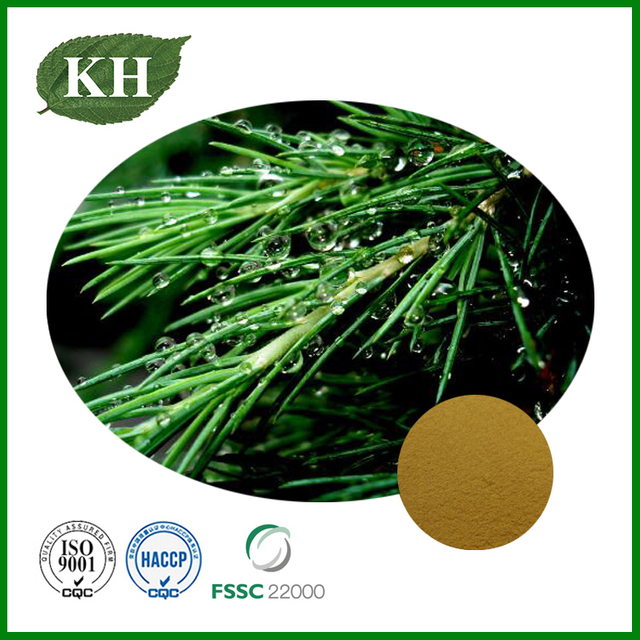 Pine Needle Extract