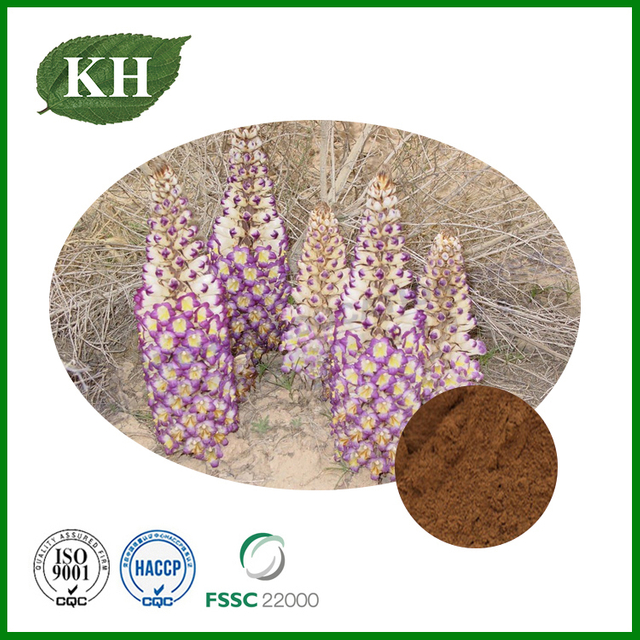 Cistanche Tubulosa Extract