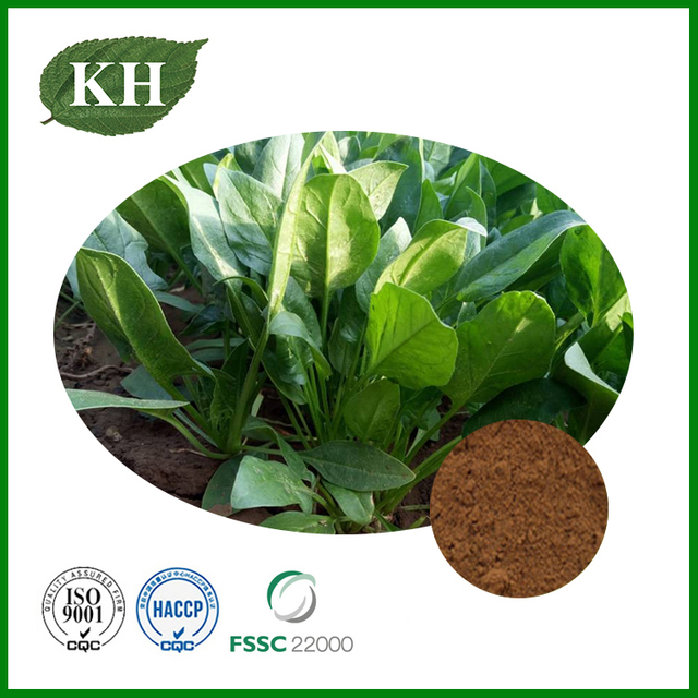 Spinach Extract