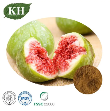 Can Dogs Eat Figs.png