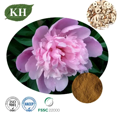 How To Plant And Care for Flowering Peony Plants