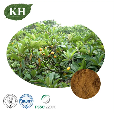 What Does A Loquat Taste Like?