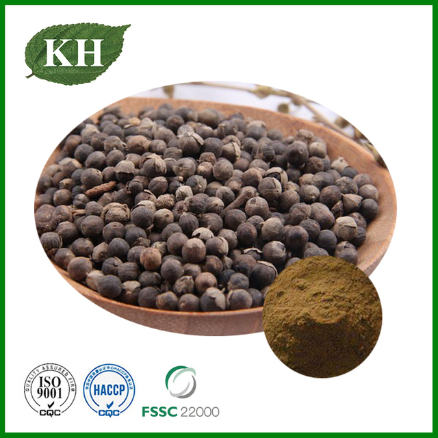 Chaste Berry Extract