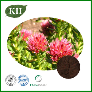 Rhodiola Rosea Extract