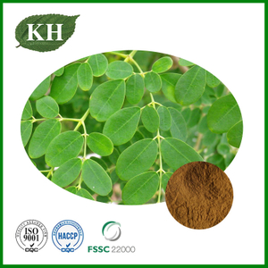 Moringa Leaf Extract