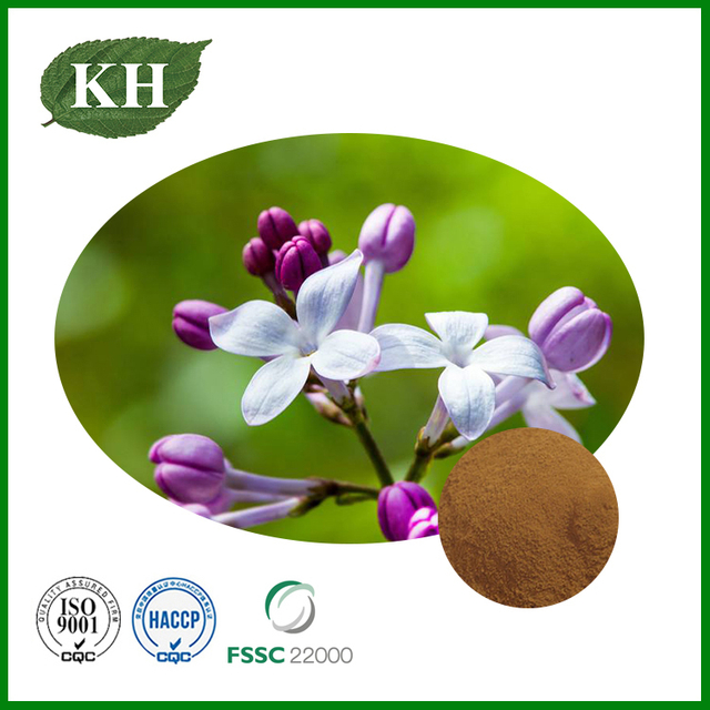 Clove Extract