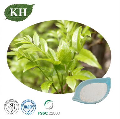What Is Vine Tea Extract Dihydromyricetin.png