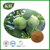 Green Persimmon Fruit Extract