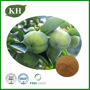 Green Persimmon Fruit Extract