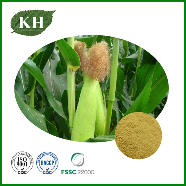 Corn Silk Extract