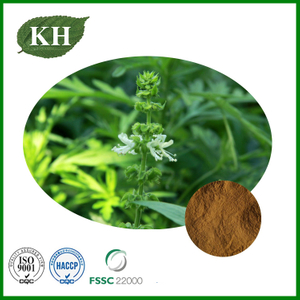 Holy Basil Extract