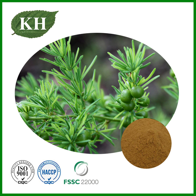 Shatavari Extract