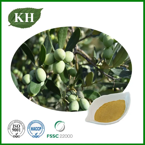 Olive Leaf Extract