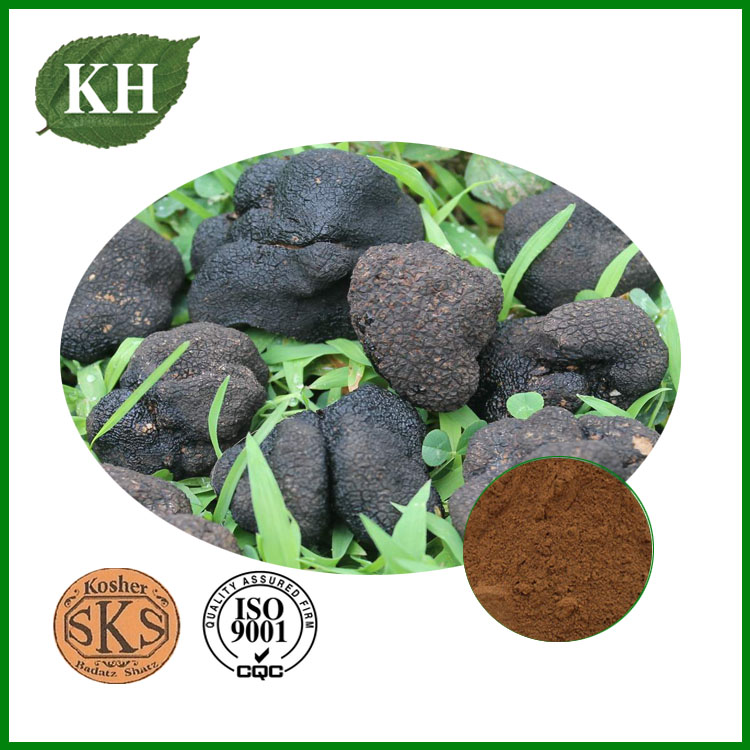 Black Truffle Powder – A Dual Luxury of Flavor and Nutrition