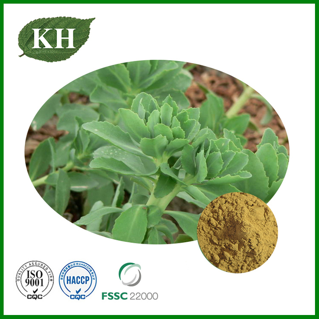 Notoginseng Extract