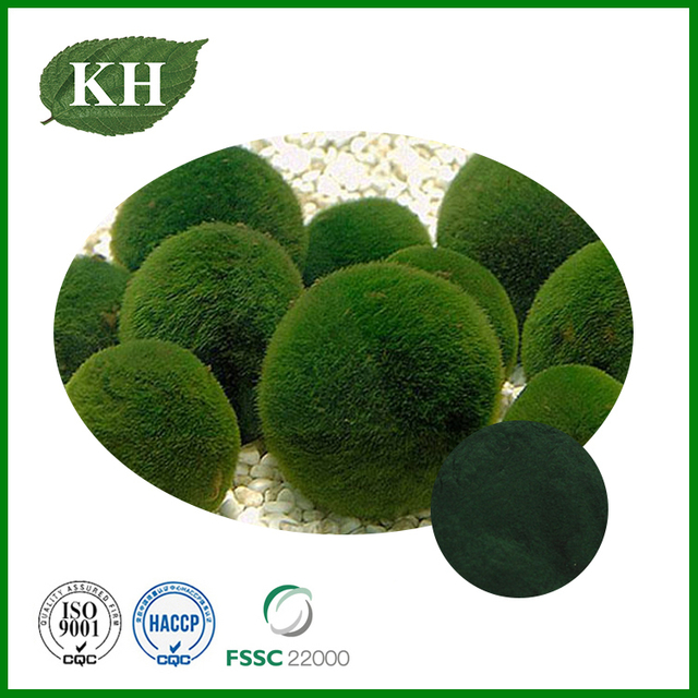 Chlorella Extract