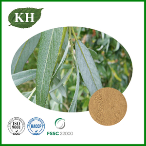 White Willow Bark Extract