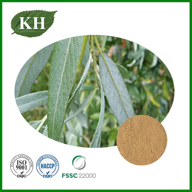 White Willow Bark Extract