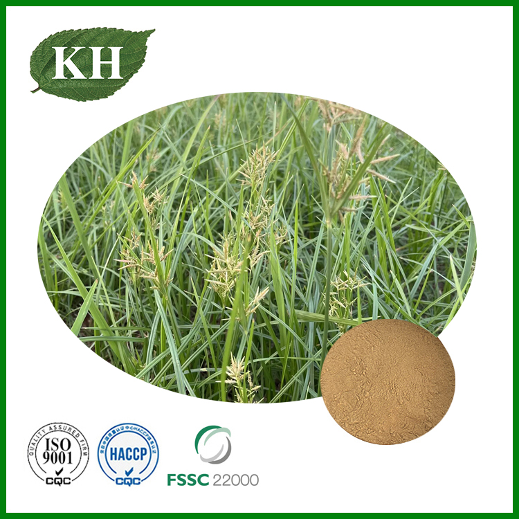 Cyperus Rotundus Extract