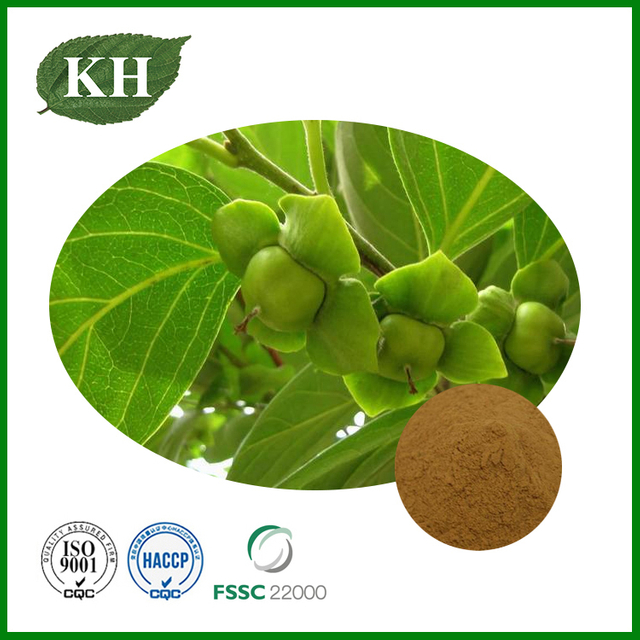 Persimmon Leaf Extract