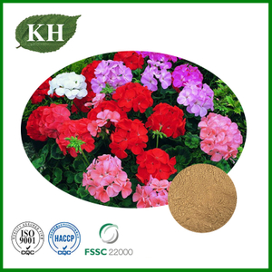 Pelargonium Sidoides Extract