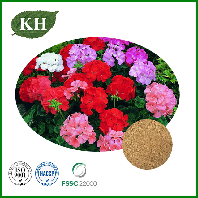 Pelargonium Sidoides Extract