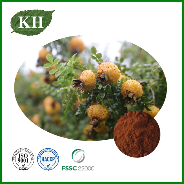 Rosa Roxburghii Extract