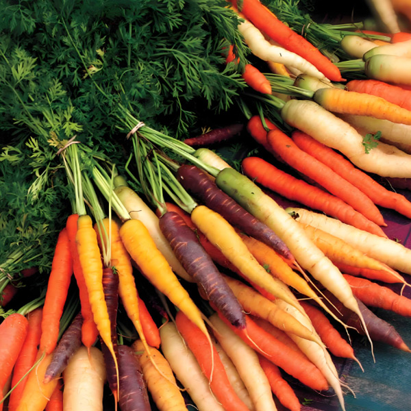 Carrots